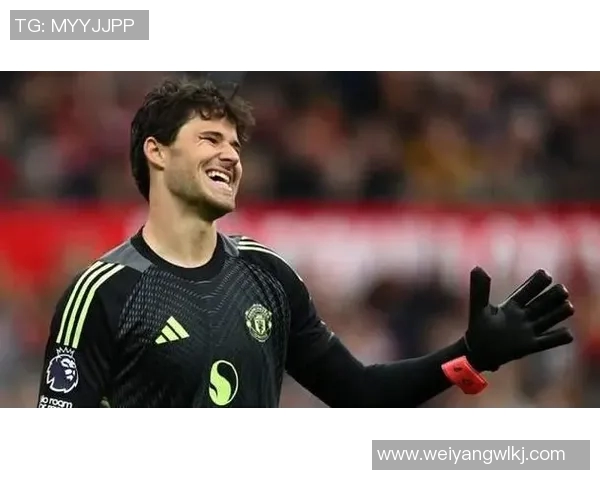 谢什科伤学鲁尼,曼联精神永不褪色 谢什科伤学鲁尼,曼联精神永不褪色