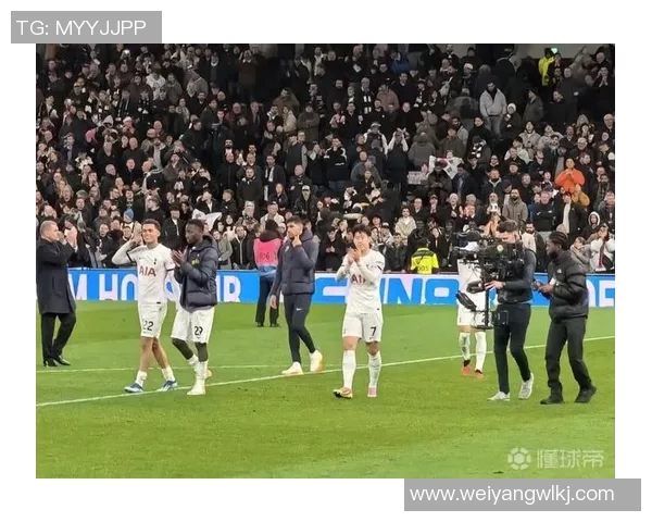 寒冬笼罩白鹿巷?热刺1-2富勒姆,主场三连败阴云下的沉思 寒冬笼罩白鹿巷?热刺1-2富勒姆,主场三连败阴云下的沉思